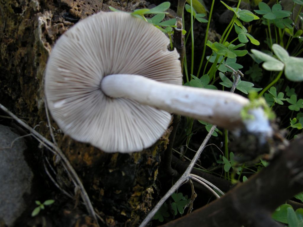 dal mio vecchio archivio 1